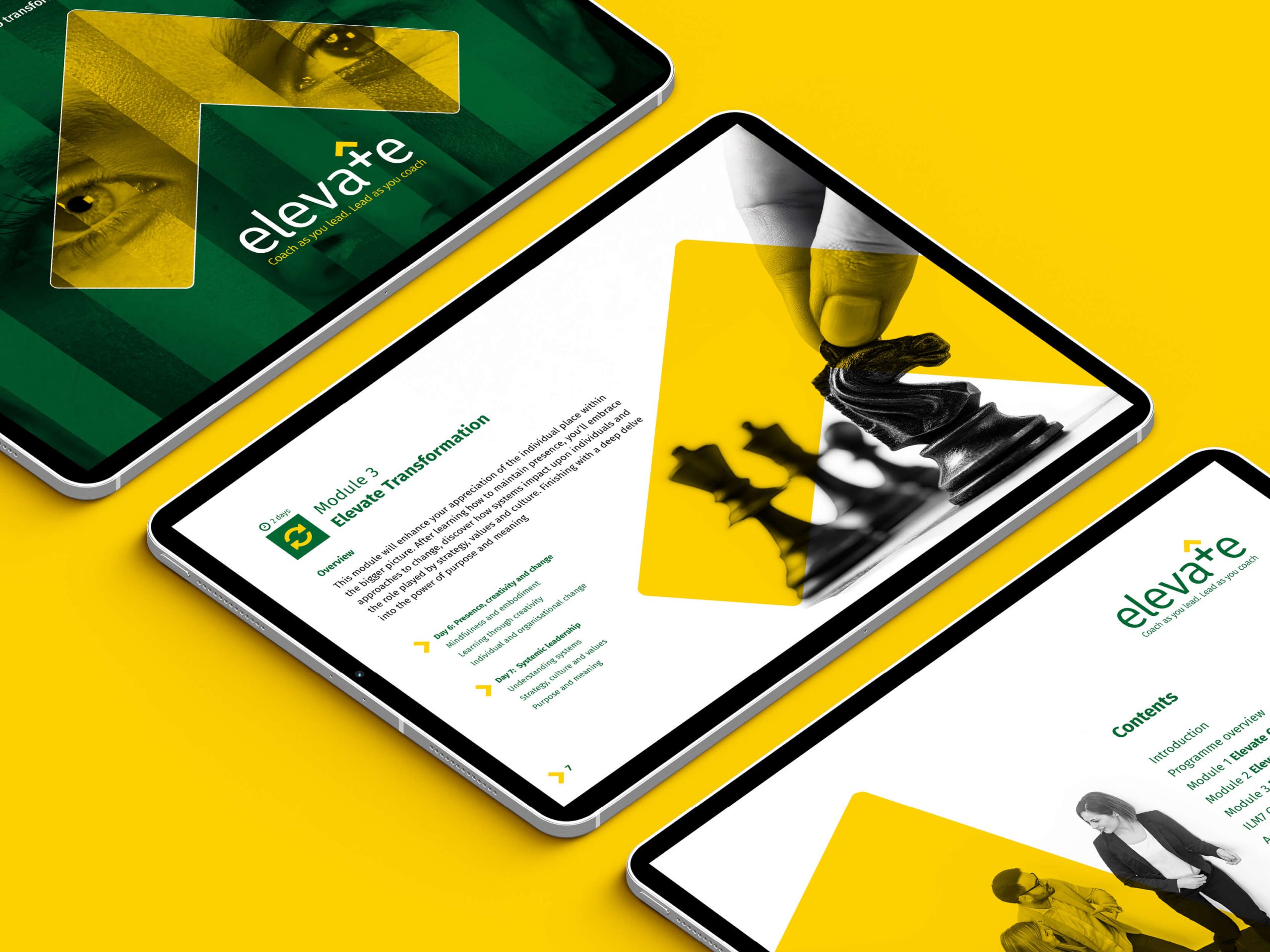 Crisp Elevate Digital brochure 1