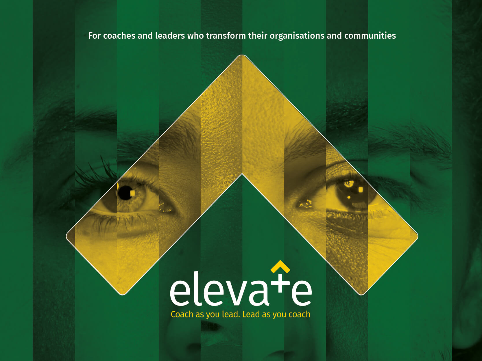 Crisp Elevate Digital brochure cover 4