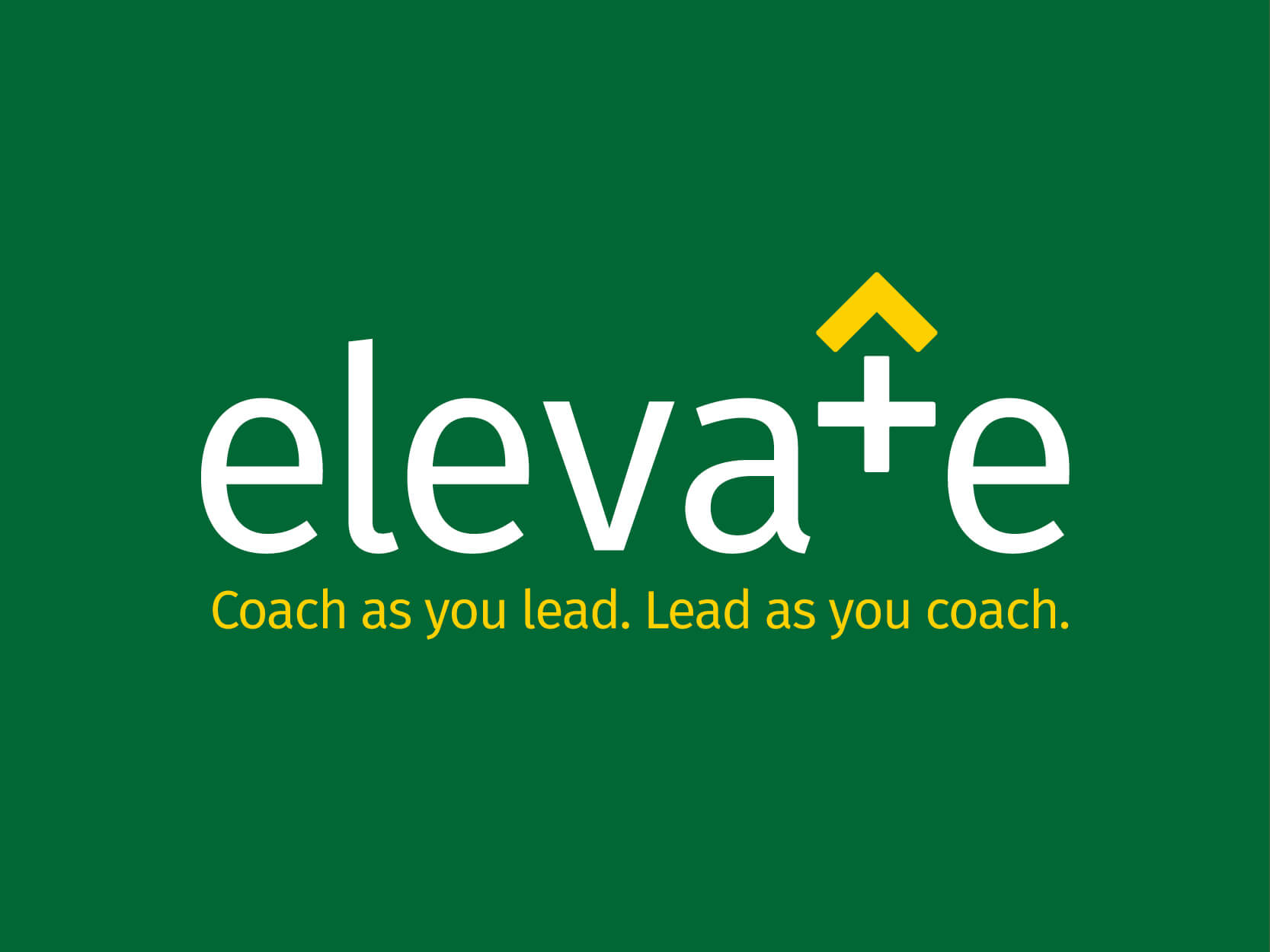 Crisp Elevate Logo Identity 2