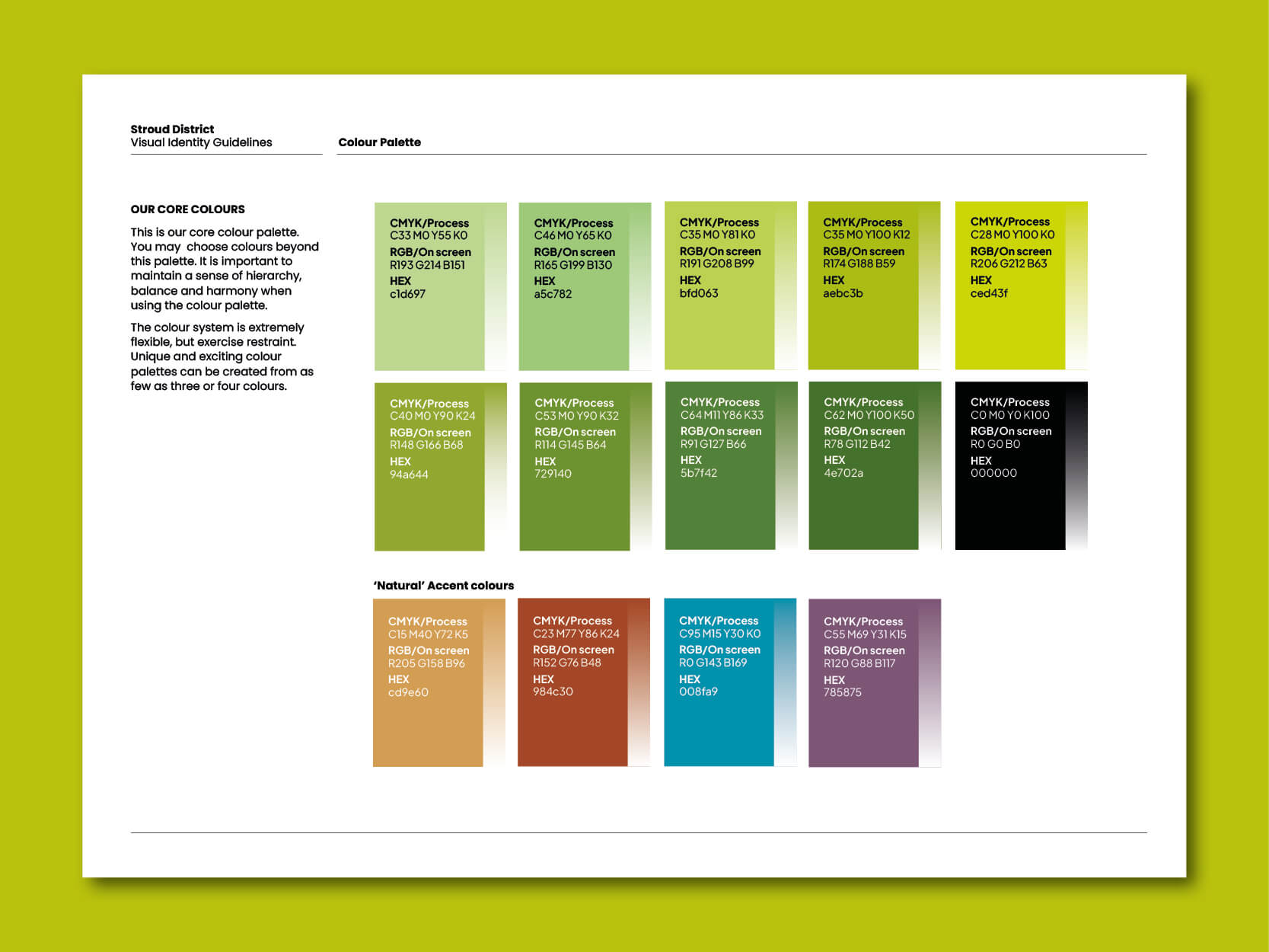 Stroud District Brnad Guidelines 4