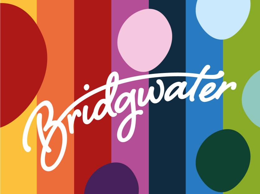 Bridgwater brand colour palette 9